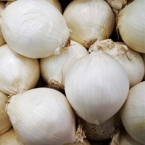 Soğan tohumu ispanyol tatlı beyaz baş soğan allium cepa seeds