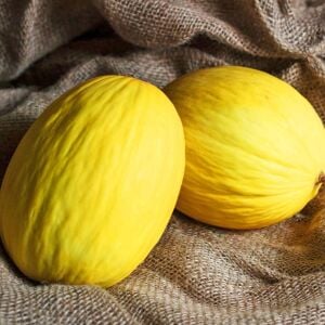 Geleneksel kavun tohumu crenshaw