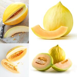 Geleneksel kavun tohumu crenshaw