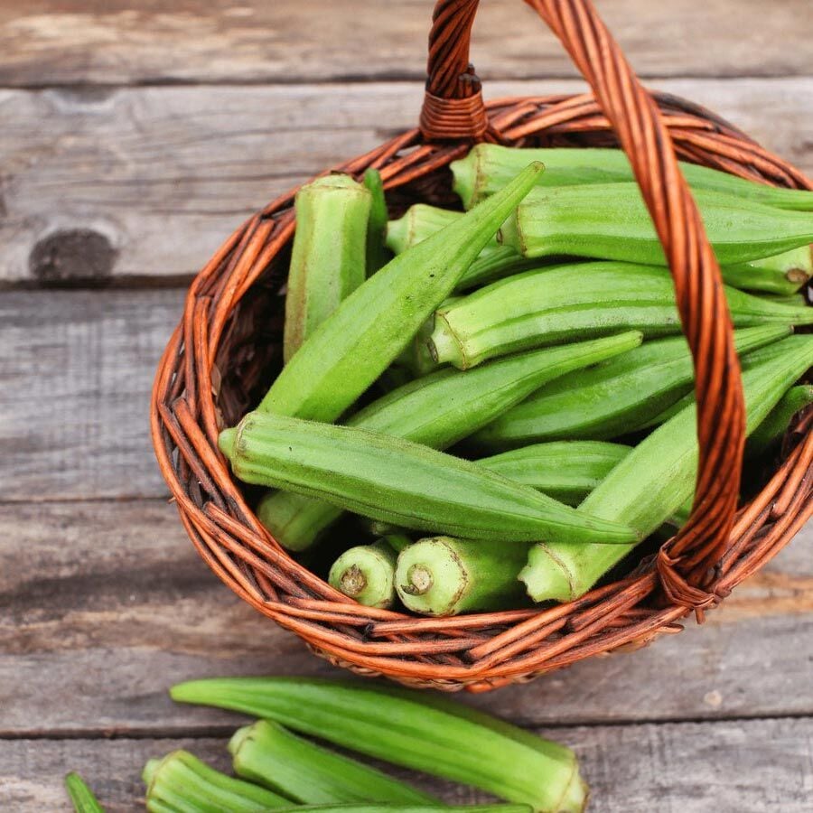 Clemson dikensiz bamya tohumu