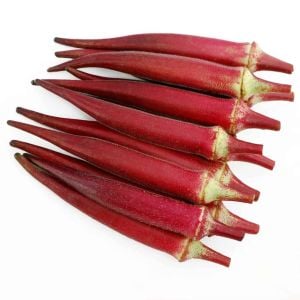 Kırmızı bamya tohumu red burgundy