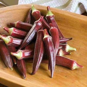 Kırmızı bamya tohumu red burgundy