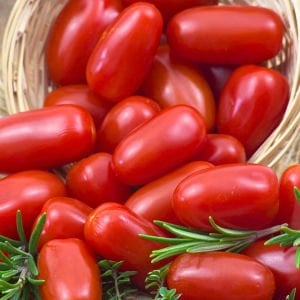 Rio grande domates tohumu geleneksel italyan domatesi