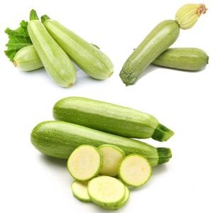 Kolsuz sakız kabağı kabak tohumu cucurbita pepo