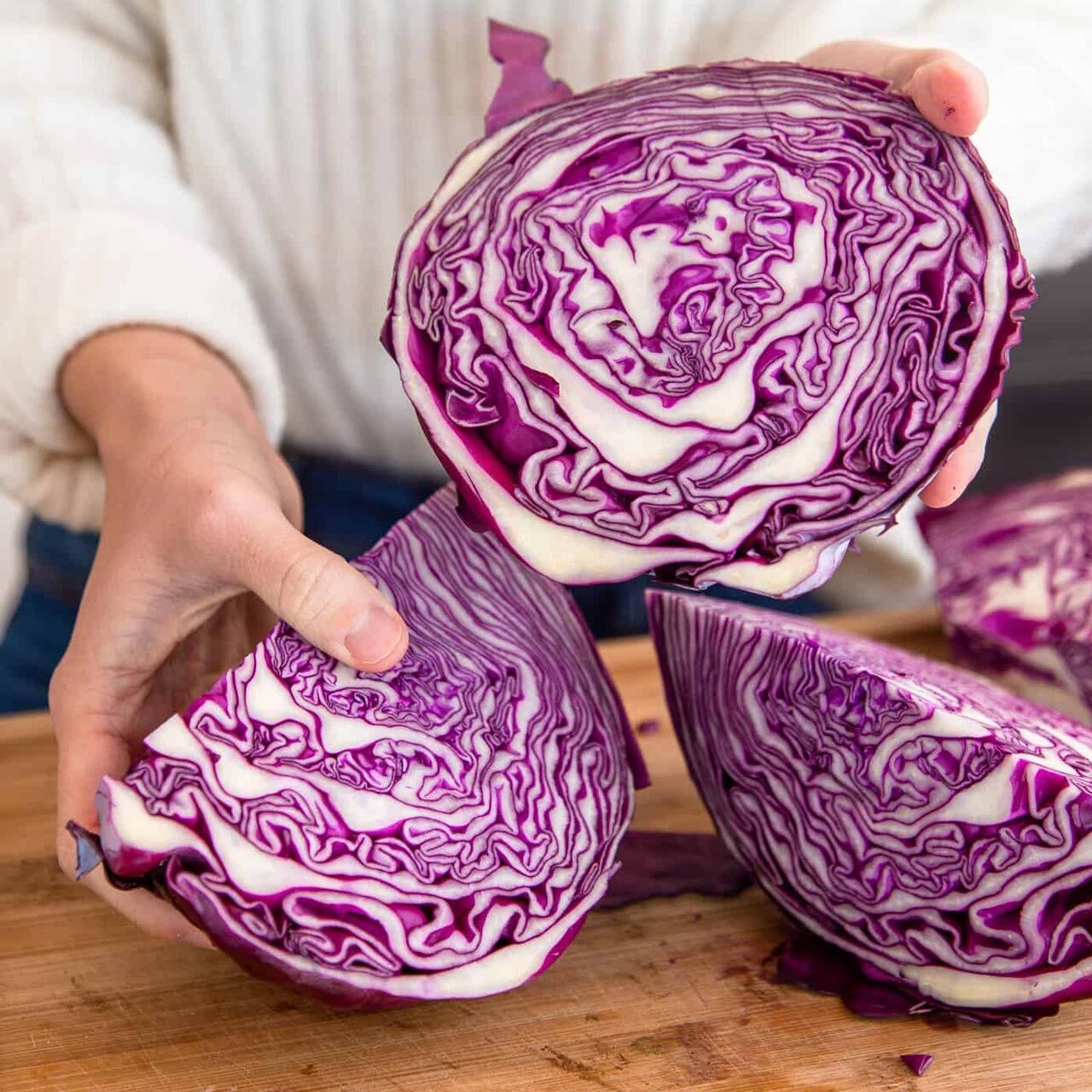 Kırmızı lahana tohumu atalık brassica oleracea