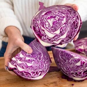 Kırmızı lahana tohumu atalık brassica oleracea