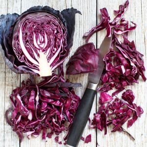 Kırmızı lahana tohumu atalık brassica oleracea