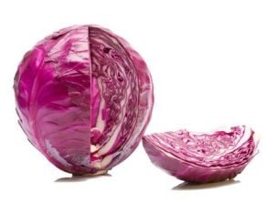 Kırmızı lahana tohumu atalık brassica oleracea
