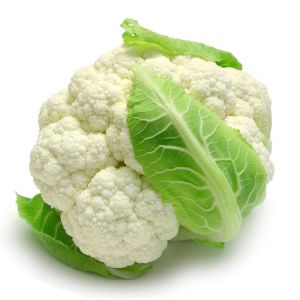 Erkenci kartopu karnabahar tohumu brassica oleracea