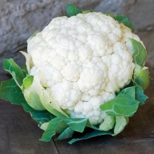 Erkenci kartopu karnabahar tohumu brassica oleracea