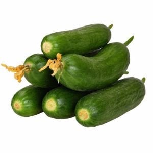 Çengelköy badem salatalık tohumu cucumis sativus