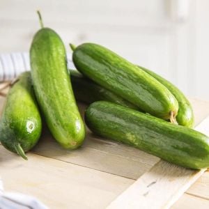 Çengelköy badem salatalık tohumu cucumis sativus