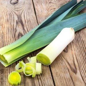 Sofralık pırasa tohumu atalık white spear allium porrum