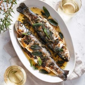Mutfak adaçayı fidesi geniş yapraklı şifalı culinaria salvia
