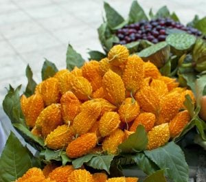 Kudret narı tohumu bitter melon seeds momordica charantia