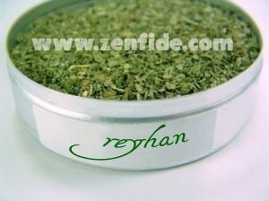 3 farklı mutfak fesleğeni 3 saksı reyhan geniş yapraklı aromatik