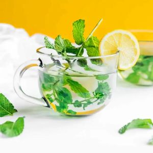 Taşkent nane fidesi mentha spicata Tashkent