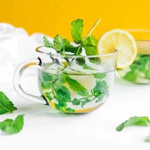 Taşkent nane fidesi mentha spicata Tashkent