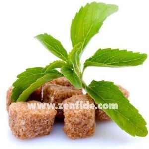 Şeker otu fidesi stevia rebaudiana ithal