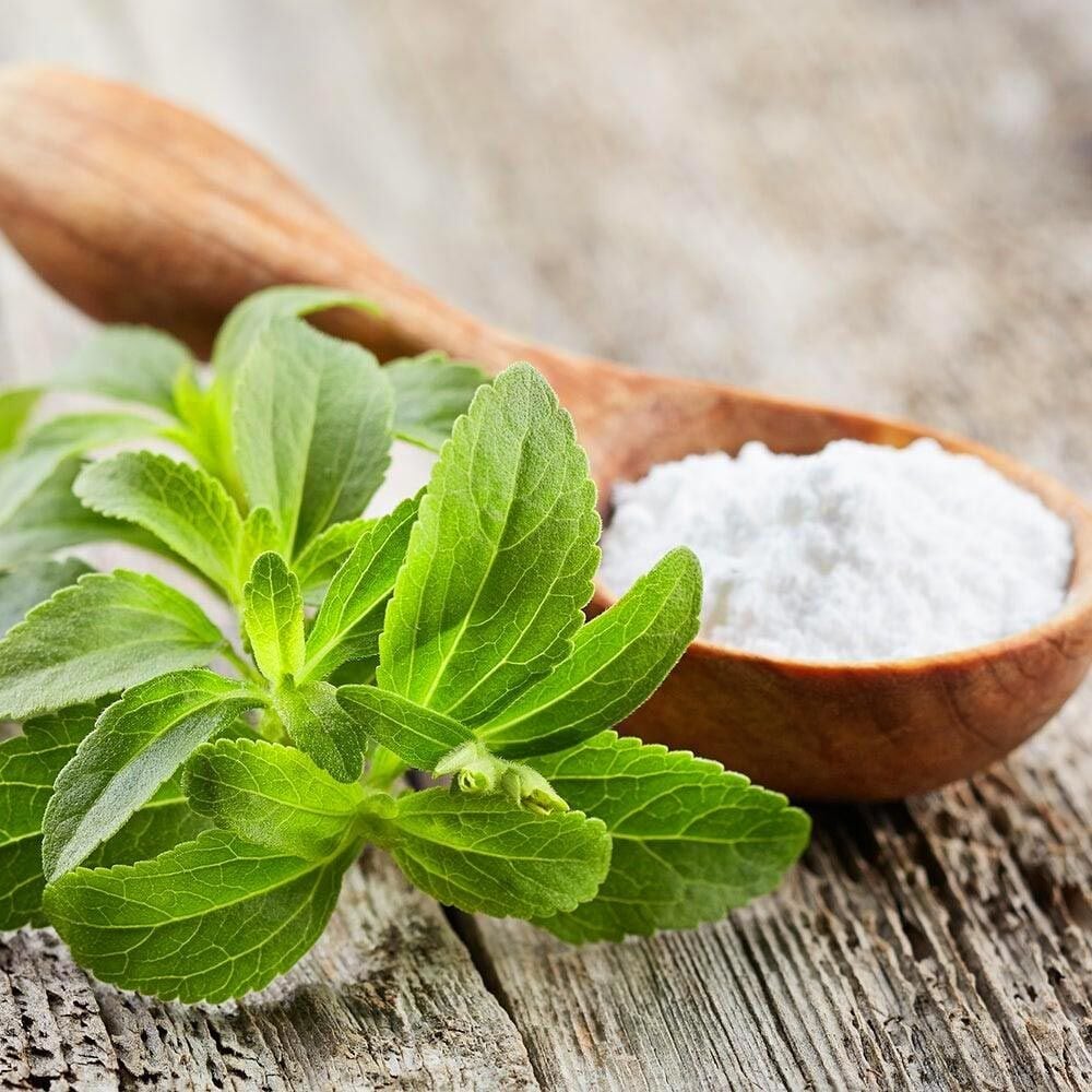 Şeker otu fidesi stevia rebaudiana ithal