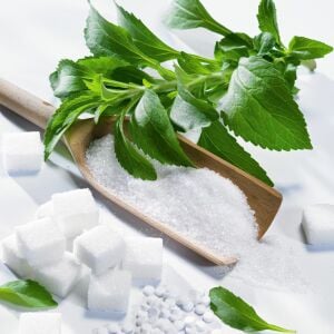 Şeker otu fidesi stevia rebaudiana ithal