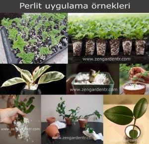 Perlit çimlendirme ve fideleme için tarımsal perlit 5 litre