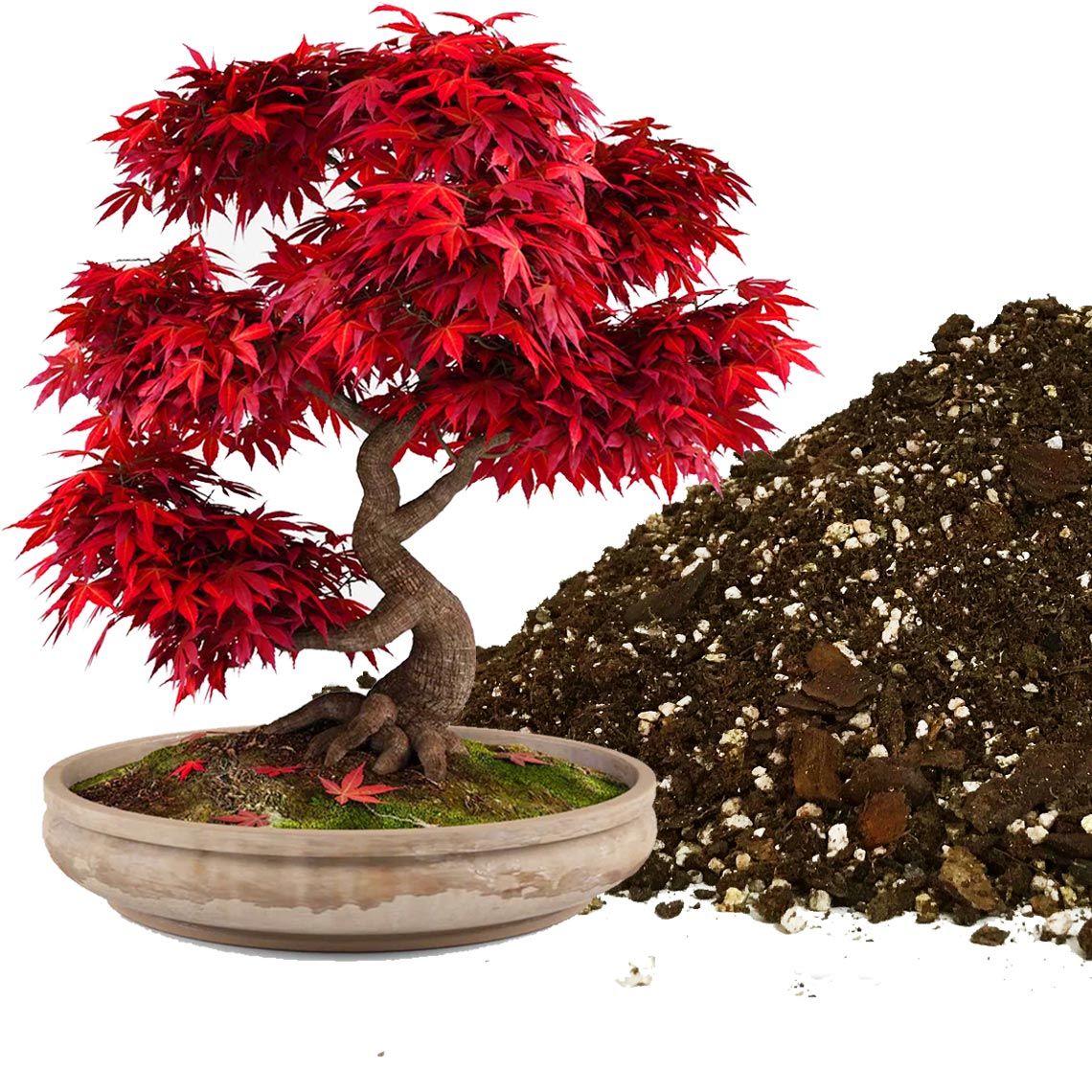 Bonsai toprağı 5 litre özel yavaş yarayışlı gübreli karışım