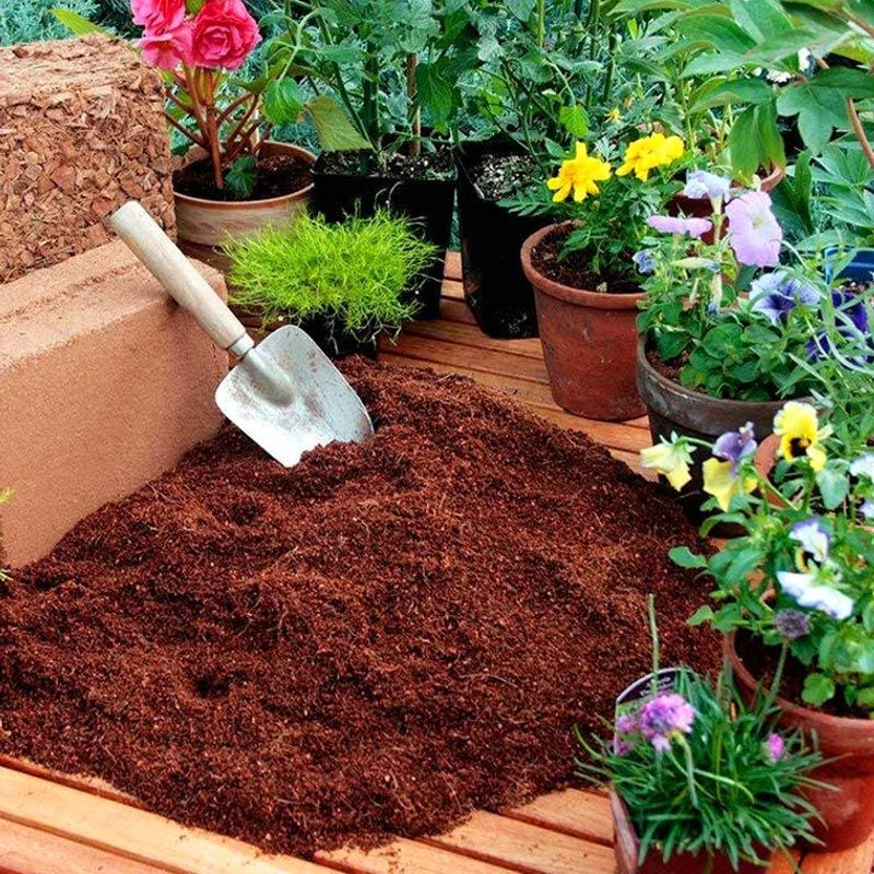 Cocopeat 5 litre kullanıma hazır hindistan cevizi torfu
