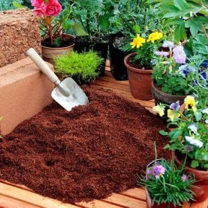 Cocopeat 5 litre kullanıma hazır hindistan cevizi torfu