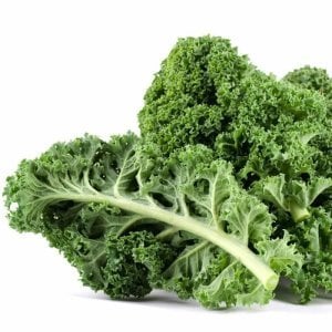 Kıvırcık bodur kale lahana tohumu dwarf curled kale vates