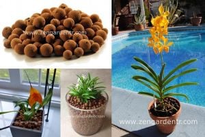 Kil bilyesi hydroton 2 lt doğal hidrokültür yetiştirme ortamı