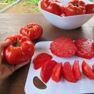 Mrs. Maxwell's Big Italian atalık domates tohumu