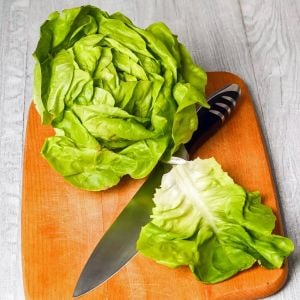 Beyaz Boston göbek marul tohumu atalık sıcağa dayanıklı