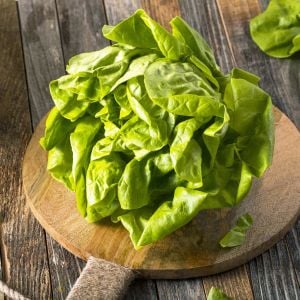 Beyaz Boston göbek marul tohumu atalık sıcağa dayanıklı