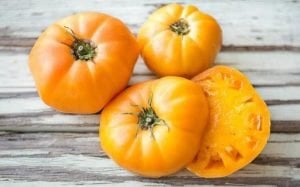 Goldie altın domates tohumu Atalık tohum