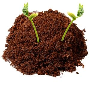 Tohum çimlendirme torfu özel npk katkılı profesyonel çimlendirme toprağı 10 litre