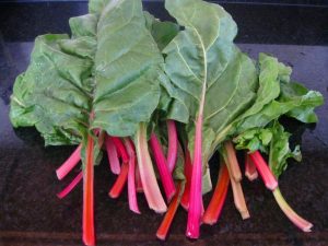 Pink lipstick pembe pazı tohumu chard