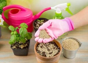 Vermikülit 5 litre yüksek kalite tarımsal vermiculite