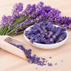 İngiliz lavanta tohumu lavandula angustifolia vera