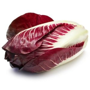 Rouge de Verona kırmızı hindiba tohumu