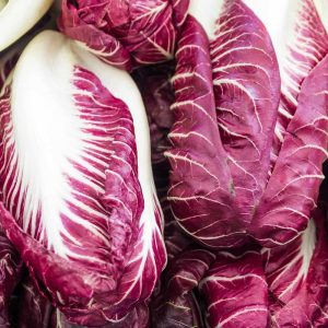 Rouge de Verona kırmızı hindiba tohumu