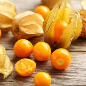 Altın çilek tohumu golden gooseberry physalis