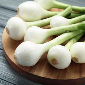 Turşuluk soğan tohumu geleneksel crystal white wax tohumu