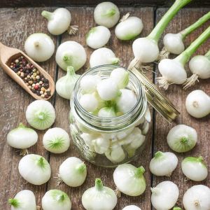 Turşuluk soğan tohumu geleneksel crystal white wax tohumu