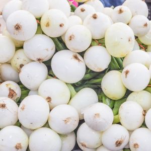 Turşuluk soğan tohumu geleneksel crystal white wax tohumu