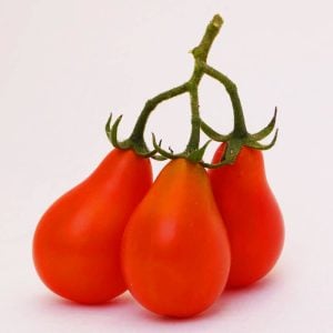 Geleneksel kırmızı armut domates tohumu red pear heirloom tomato