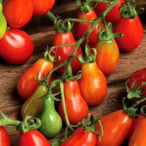 Geleneksel kırmızı armut domates tohumu red pear heirloom tomato