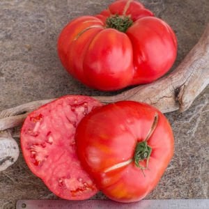 Okka pembe domates tohumu her domates ortalama 1 kilo