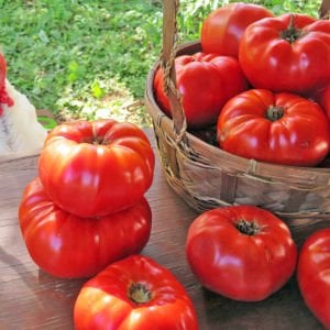 Okka pembe domates tohumu her domates ortalama 1 kilo
