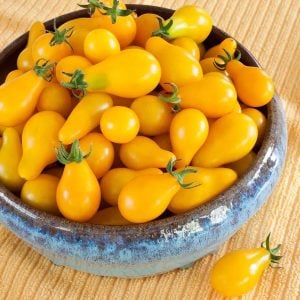 Sarı ampul domates tohumu geleneksel armut domatesi yellow pear heirloom